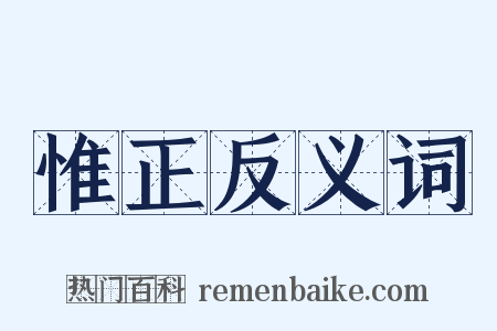 惟正反义词是什么意思的图片